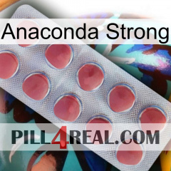 Anaconda Strong 18